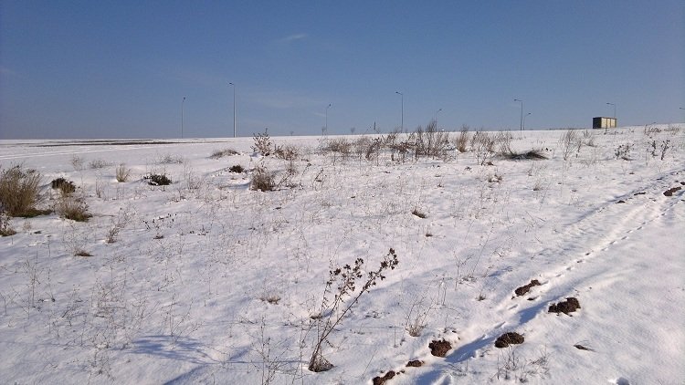 2012-02-11-013.jpg