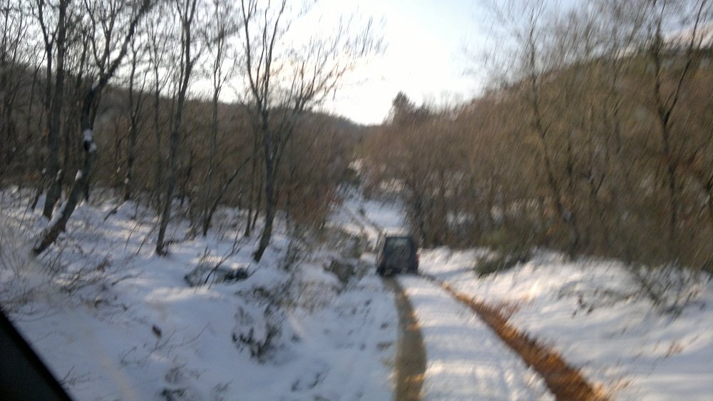 2012-02-11-018.jpg