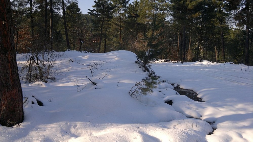 2012-02-11-026.jpg