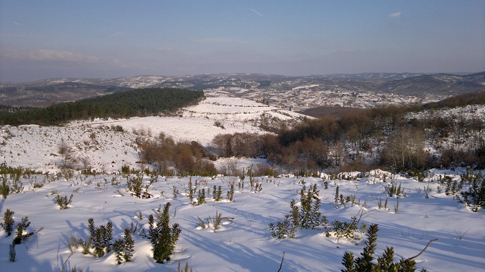 2012-02-11-027.jpg