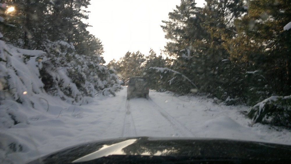 2012-02-11-038.jpg