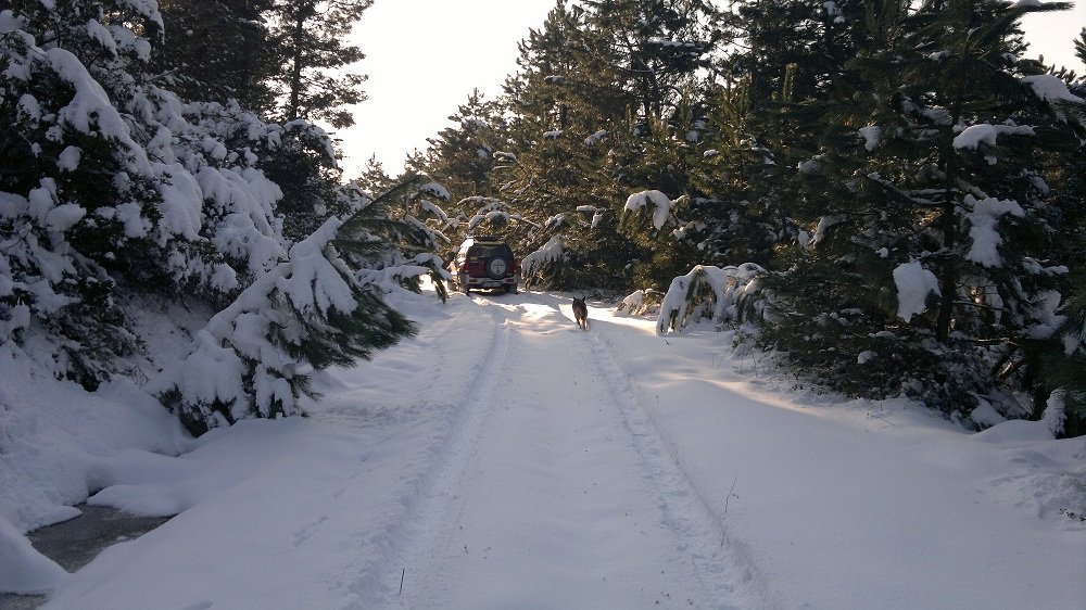 2012-02-11-040.jpg