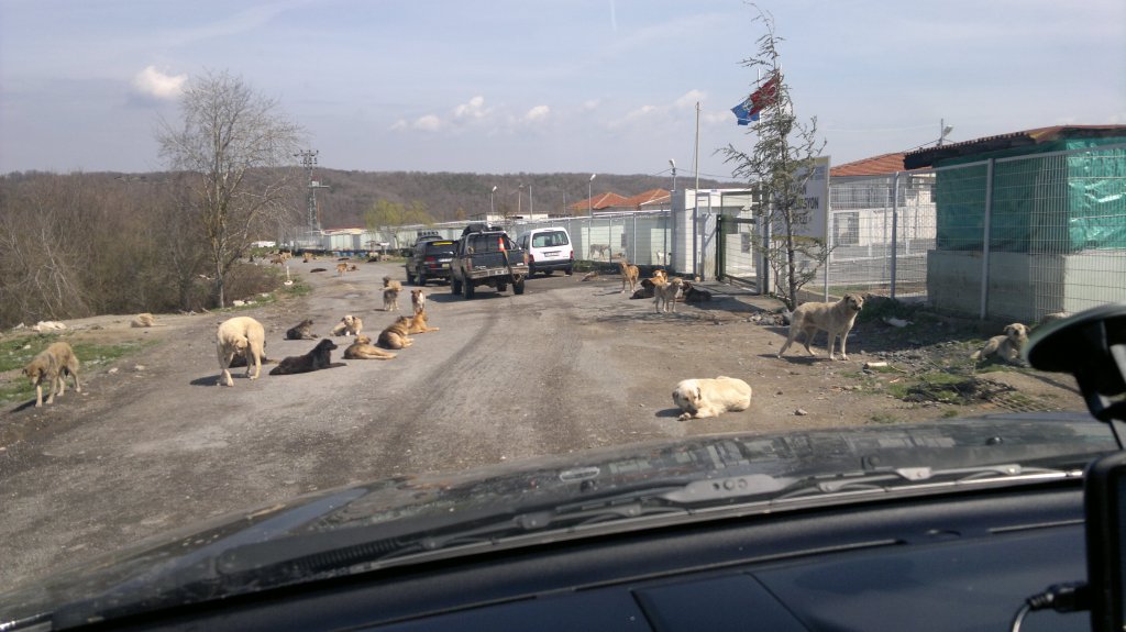 2012-03-31-096.jpg