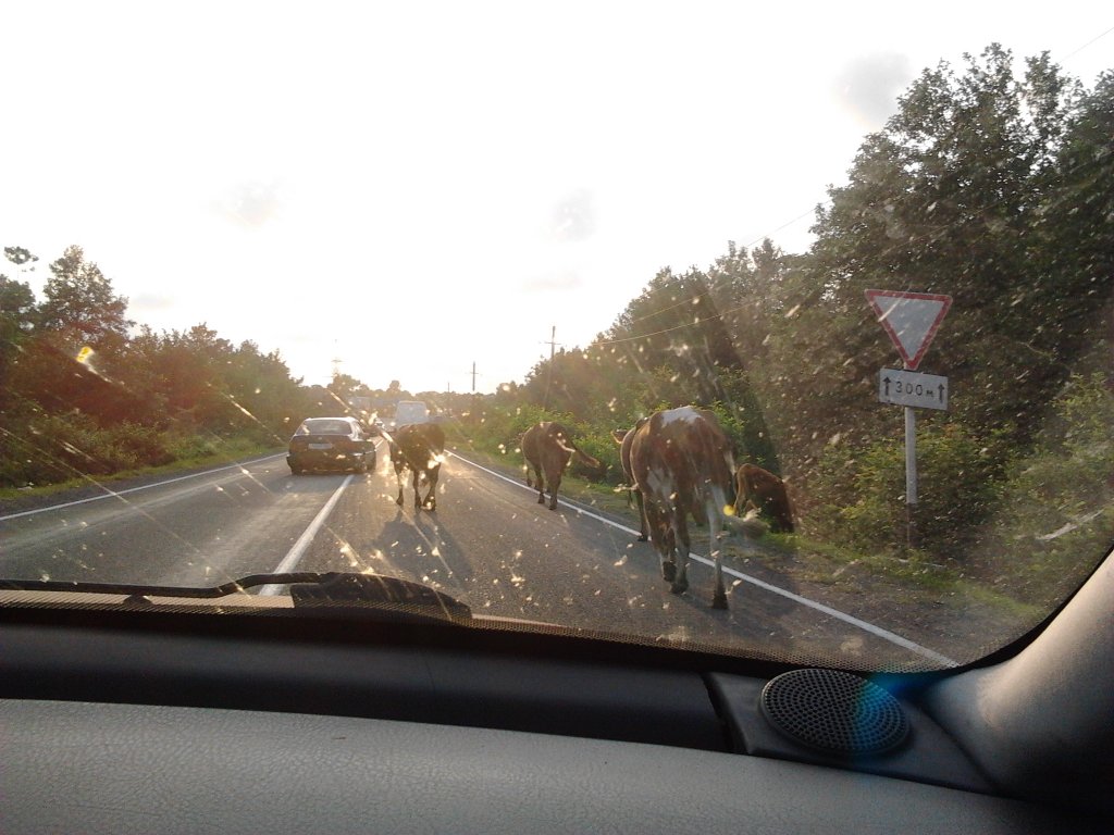 2012-08-27 18.01.36.jpg