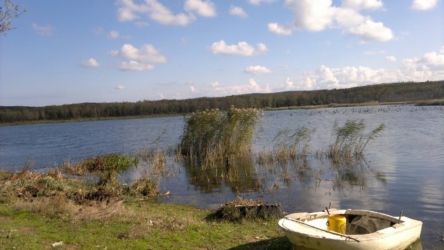 2012-11-11-398 (640x360).jpg