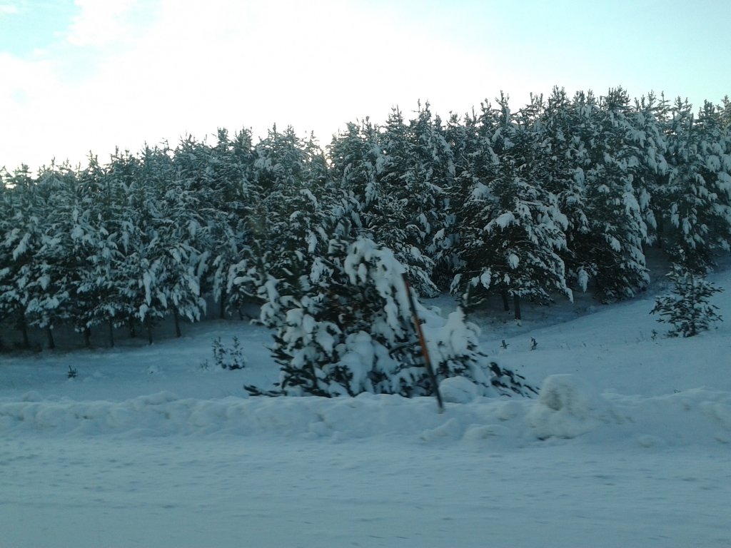 2012-12-15 14.51.35.jpg