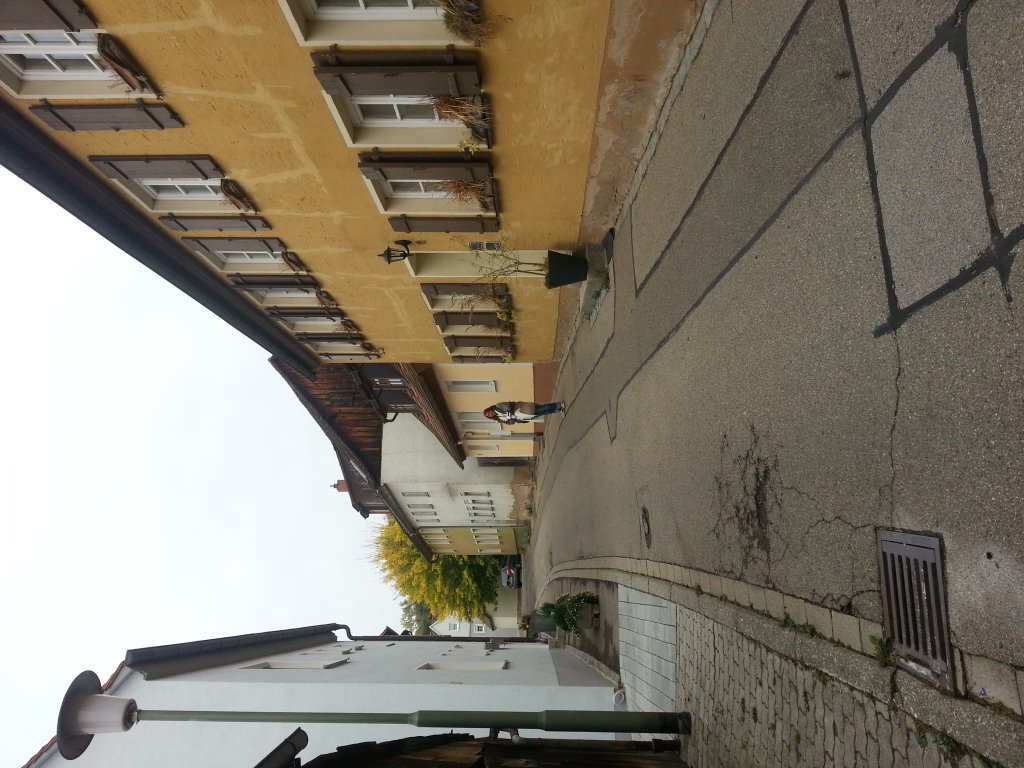 20121010_102927.jpg