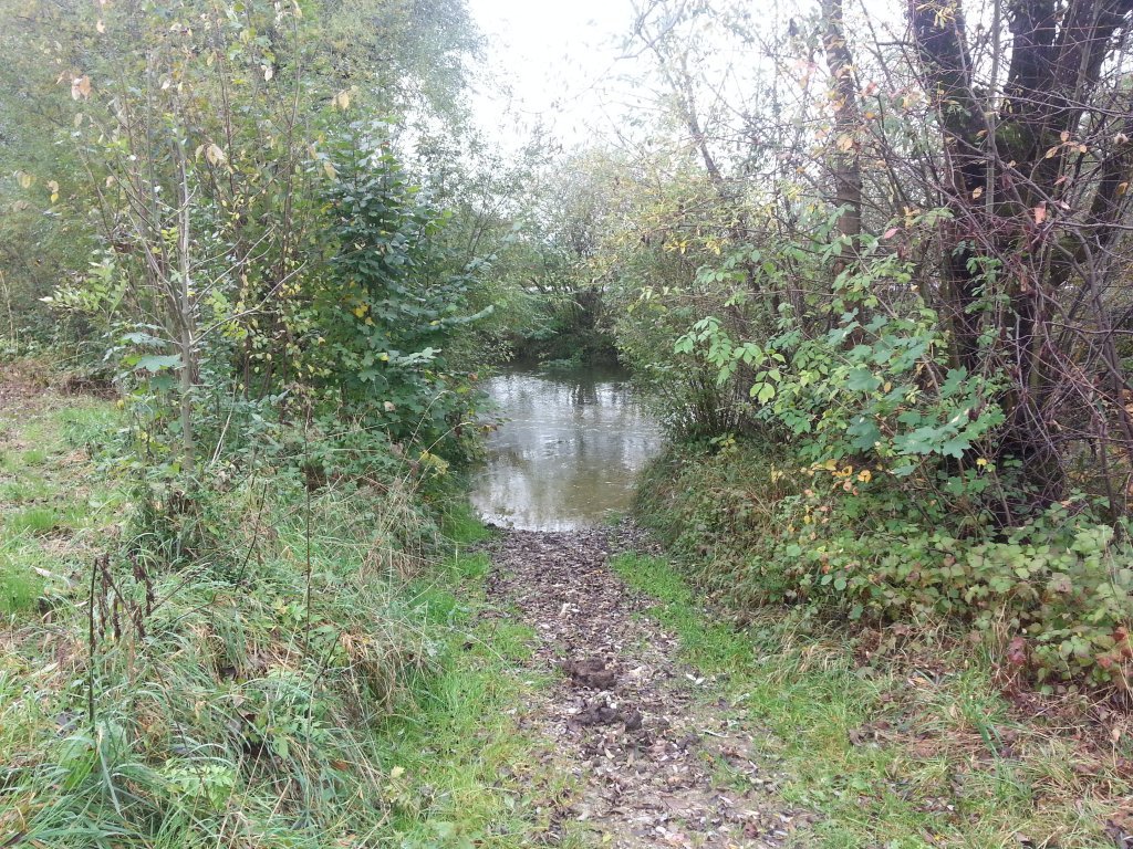 20121011_112641.jpg