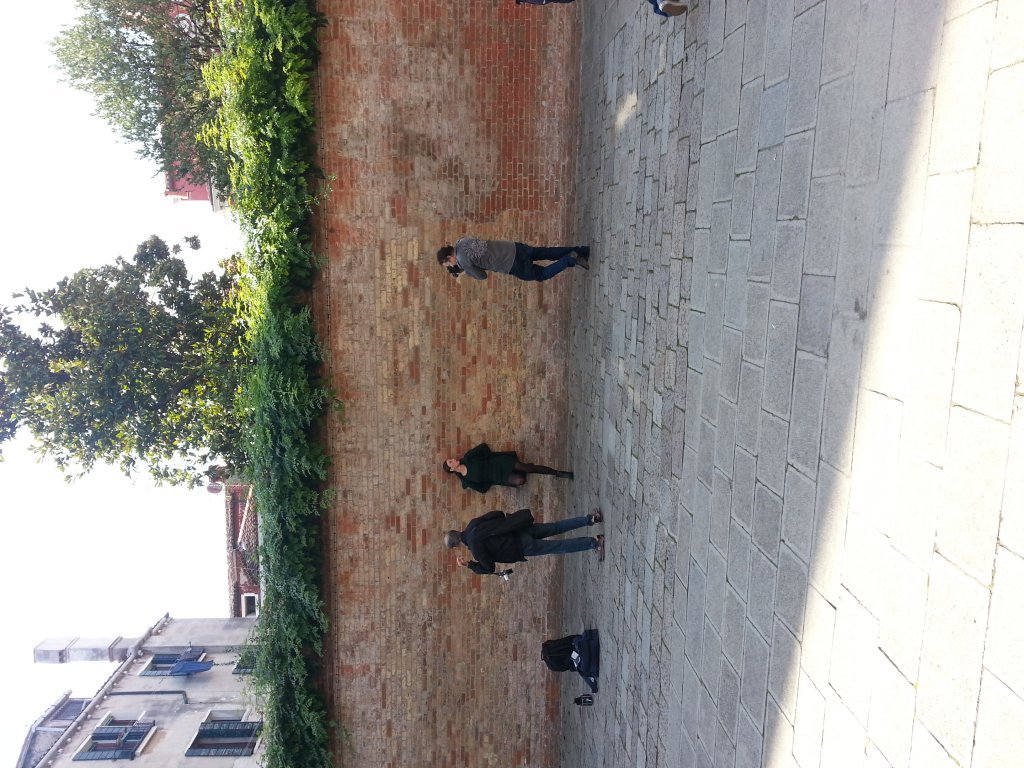 20121014_114552.jpg