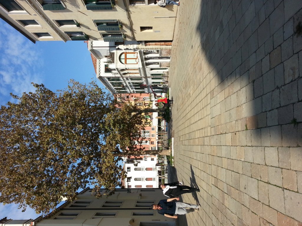 20121014_114705.jpg