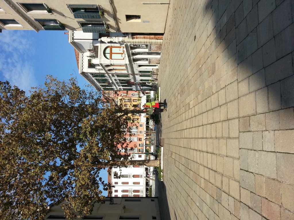 20121014_114713.jpg