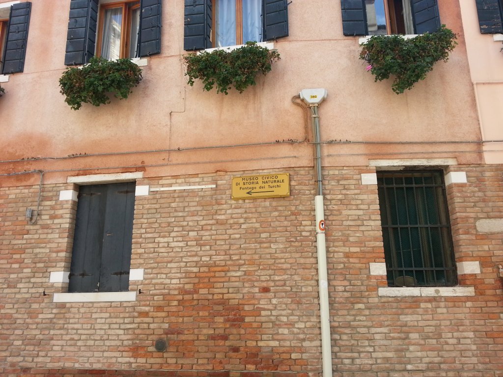 20121014_115508.jpg