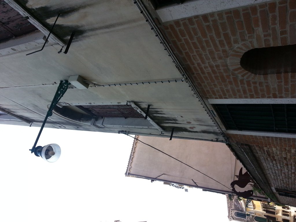 20121014_120817.jpg