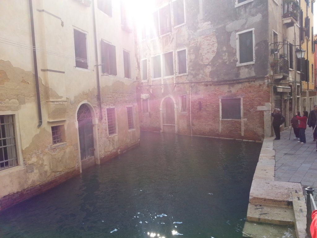 20121014_121120.jpg