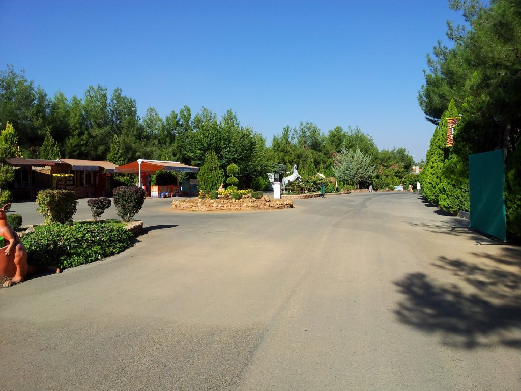 20121015_145304.jpg