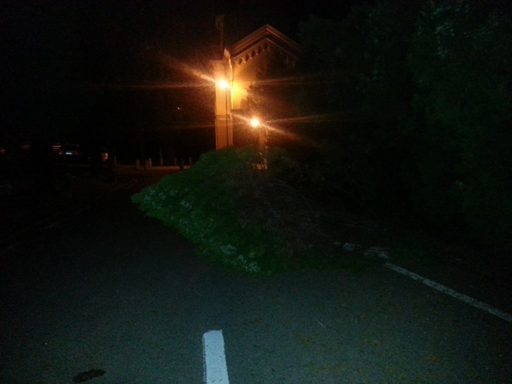 20121016_051041.jpg