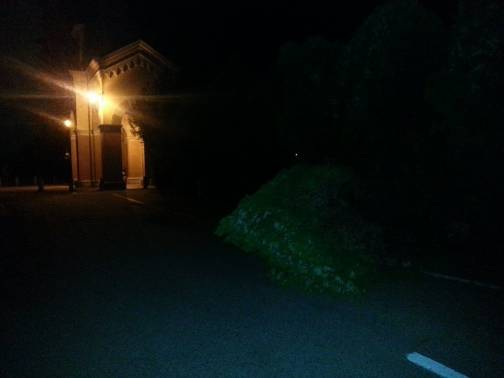 20121016_051053.jpg