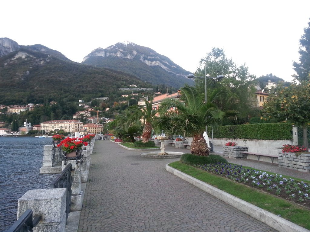 20121016_074854.jpg