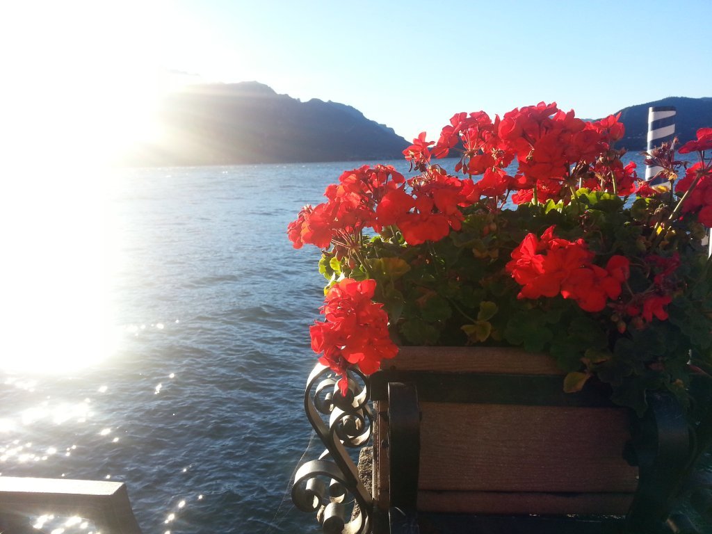 20121016_083309.jpg