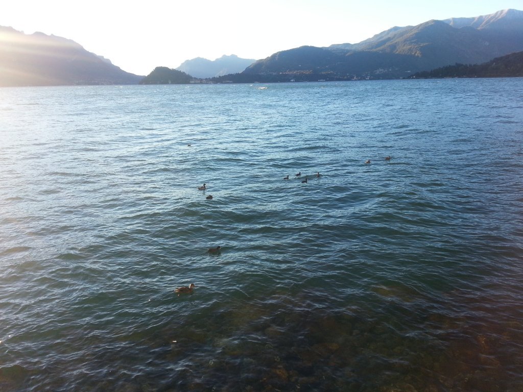 20121016_083420.jpg