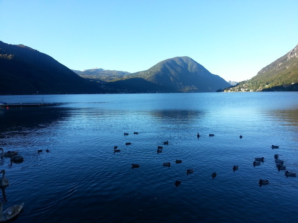 20121016_091918.jpg