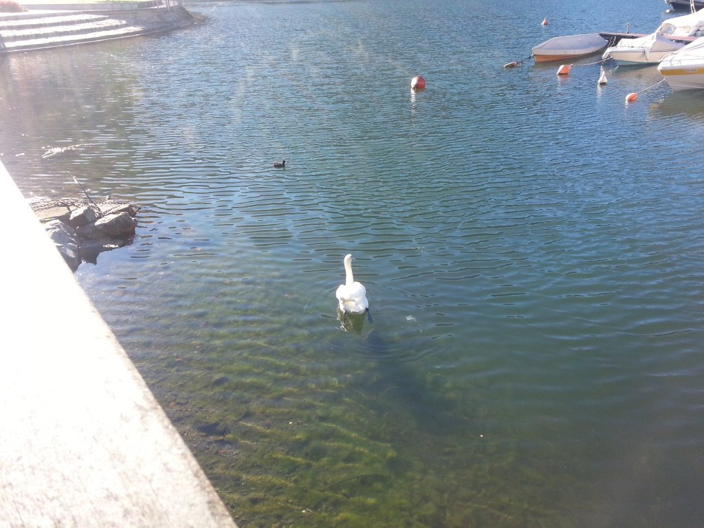 20121016_100627.jpg