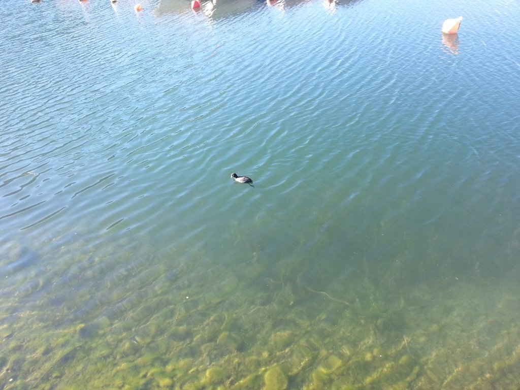 20121016_100641.jpg