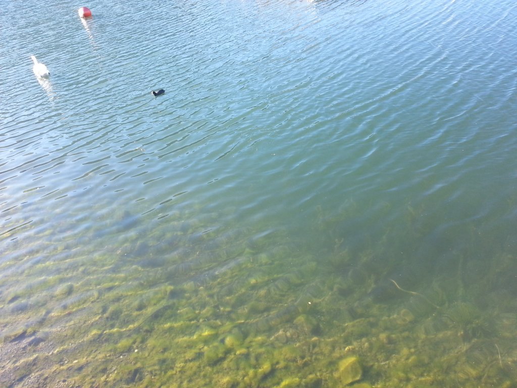20121016_100655.jpg