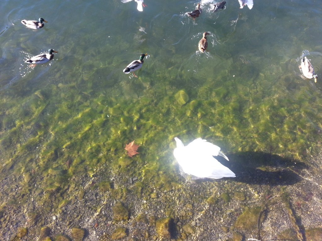 20121016_100852.jpg