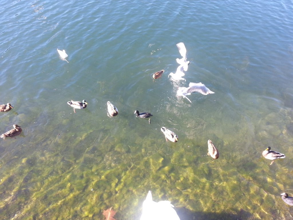 20121016_100854.jpg