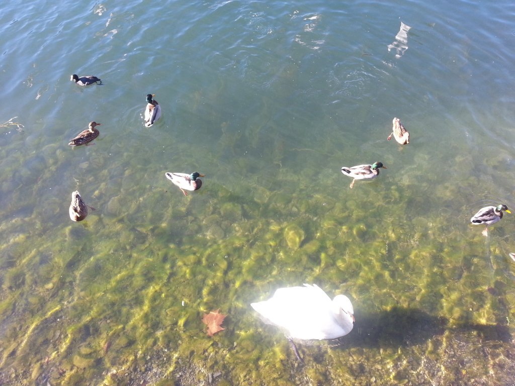 20121016_100901.jpg