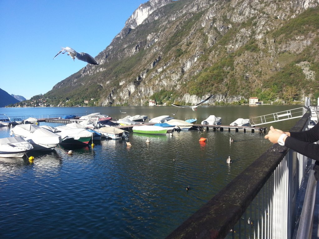 20121016_100955.jpg