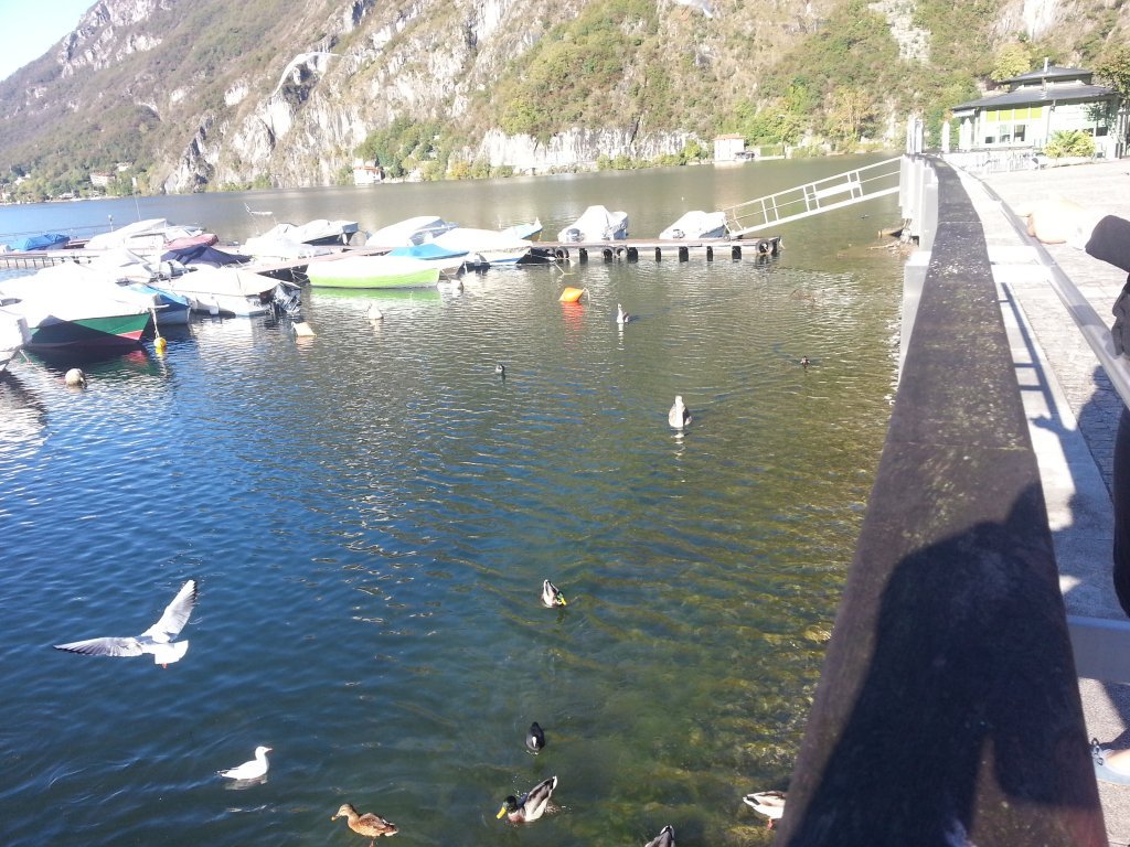 20121016_101000.jpg