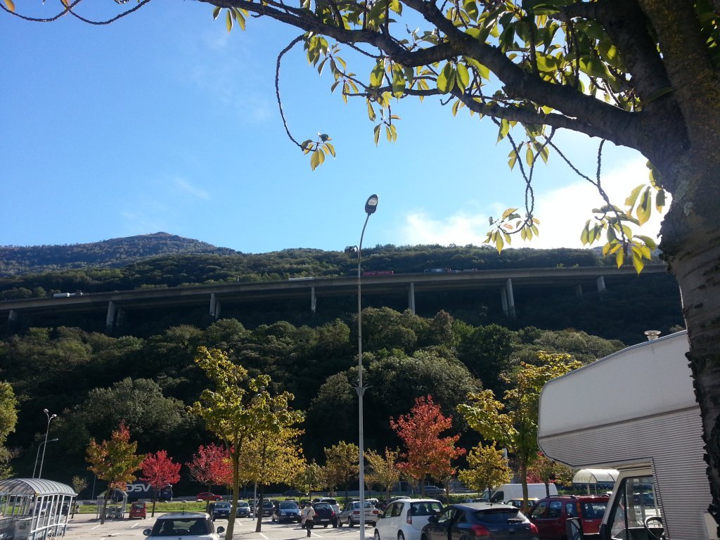 20121016_135630.jpg