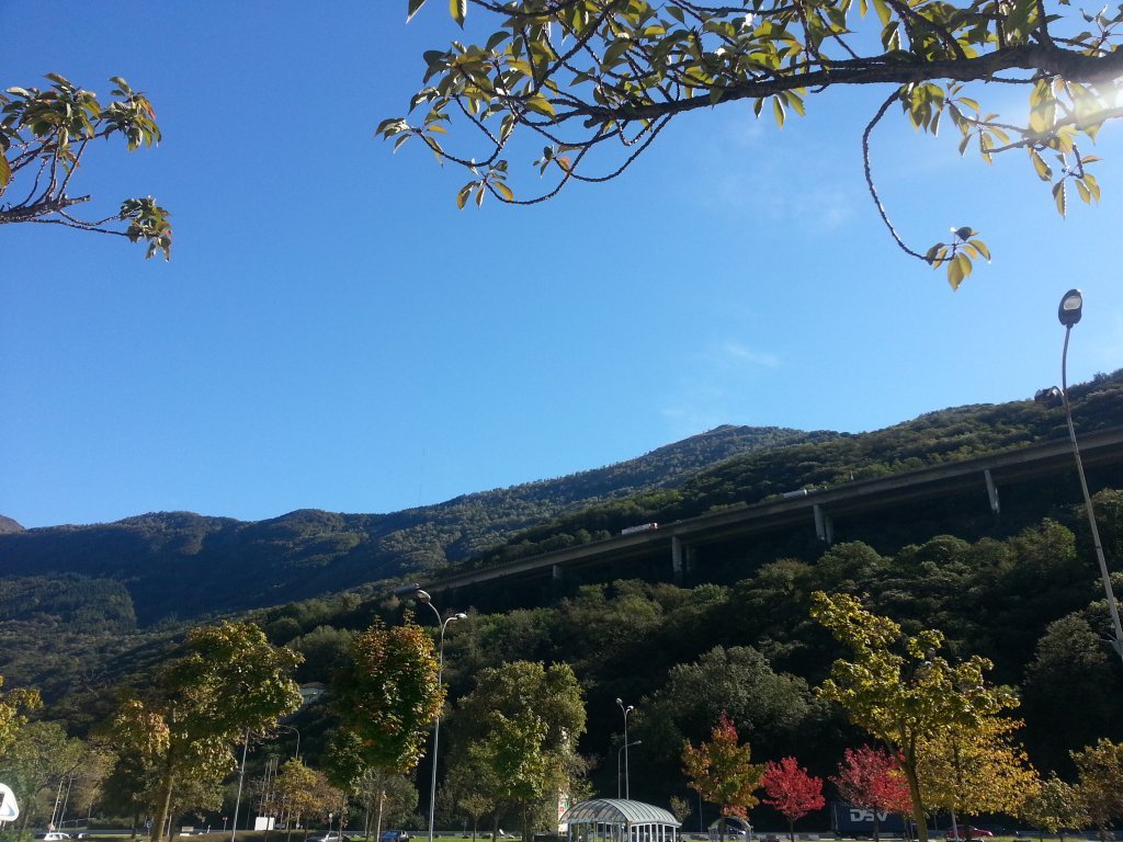 20121016_135634.jpg
