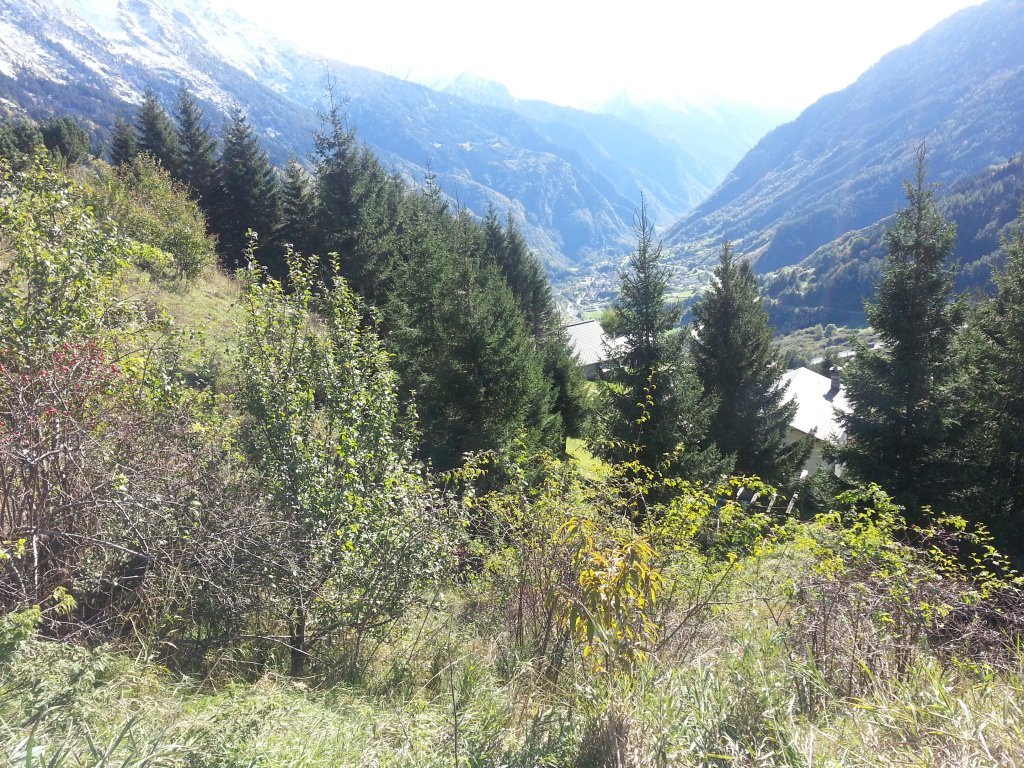 20121016_143935.jpg