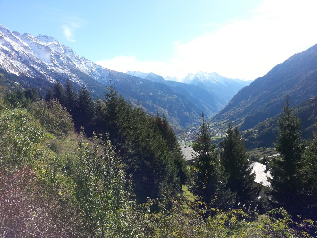 20121016_143942.jpg