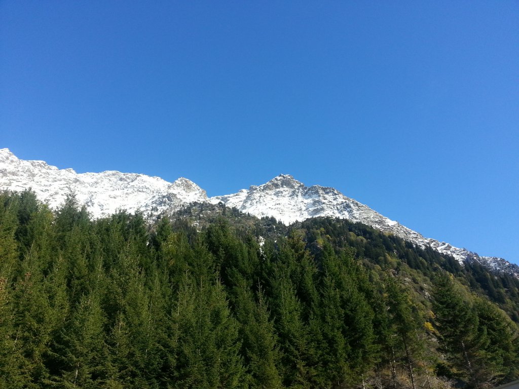 20121016_144233.jpg
