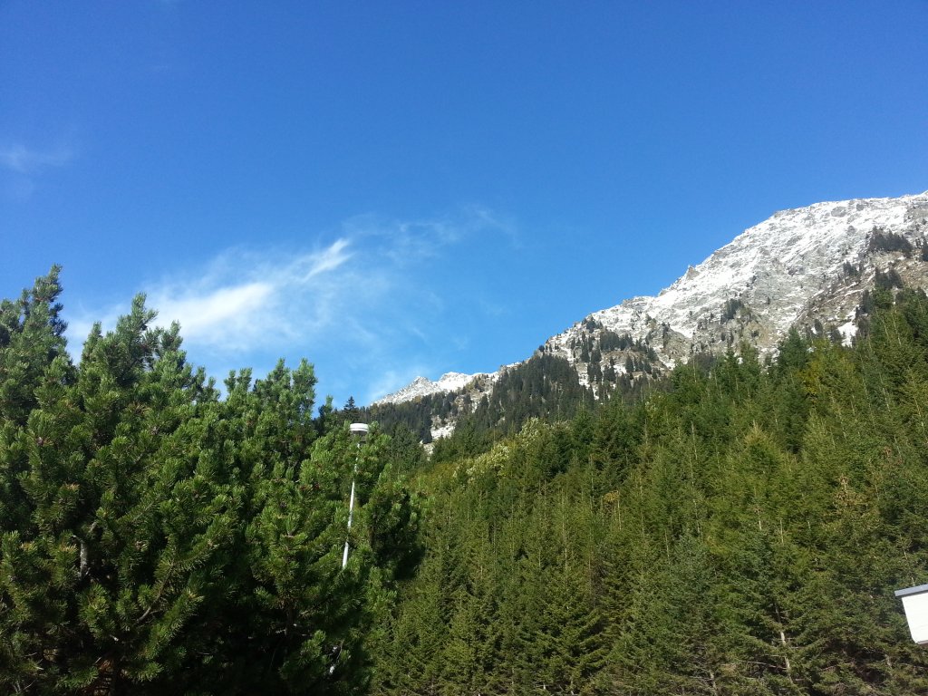 20121016_144740.jpg