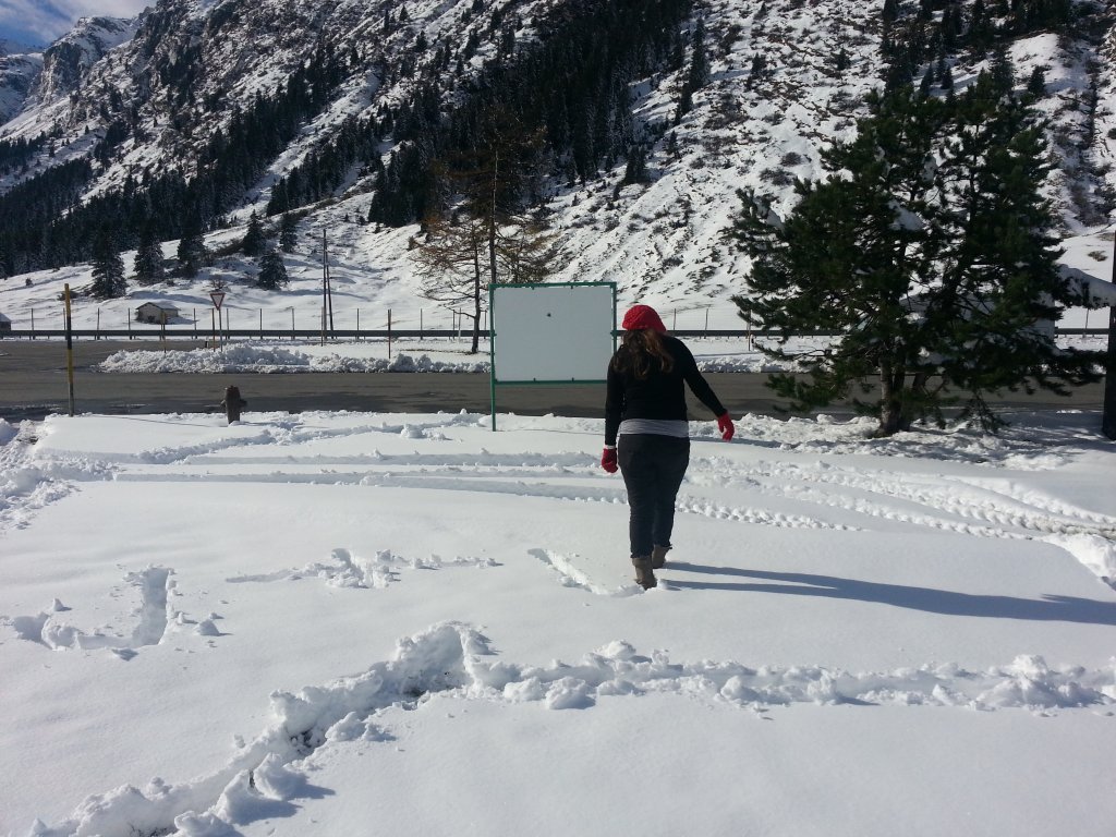 20121016_153704.jpg