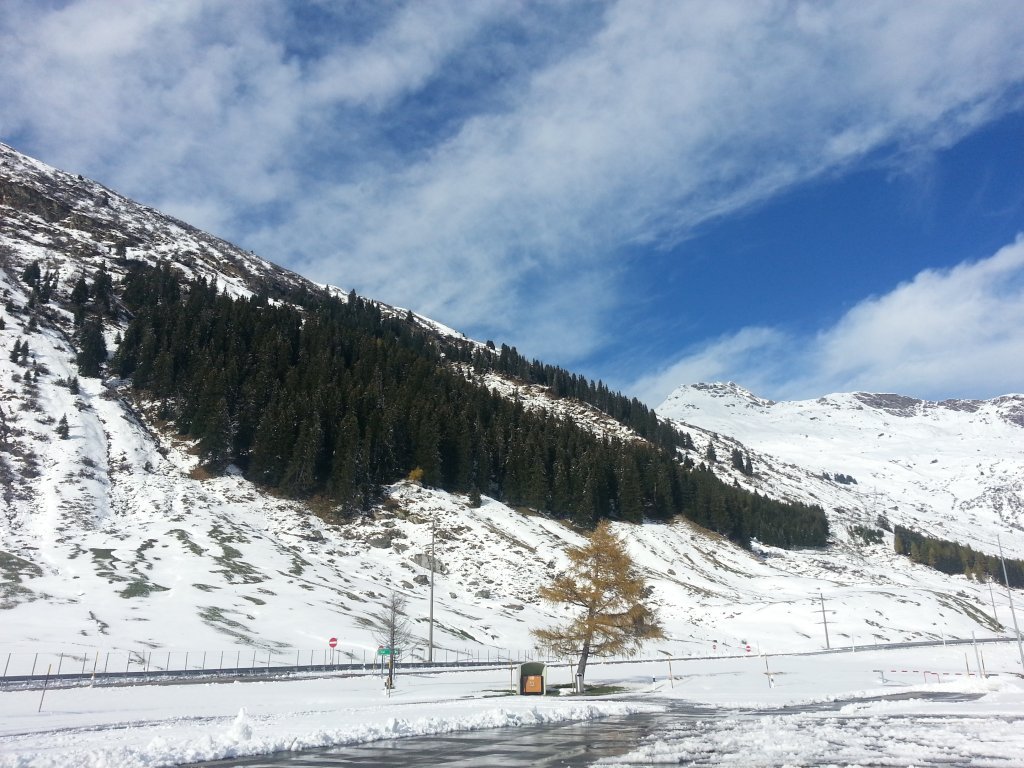 20121016_154506.jpg