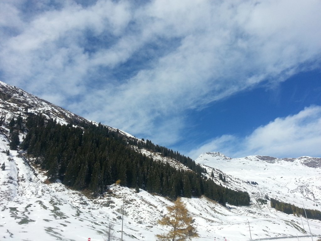 20121016_154510.jpg