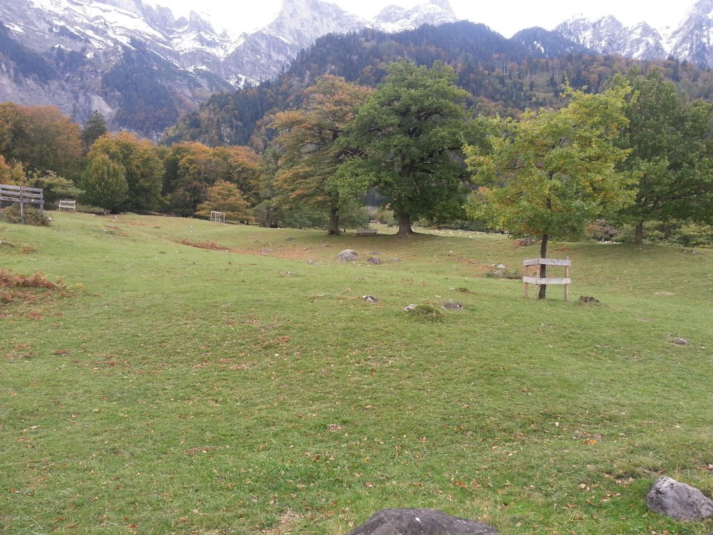 20121016_171032.jpg