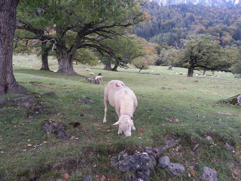 20121016_171137.jpg