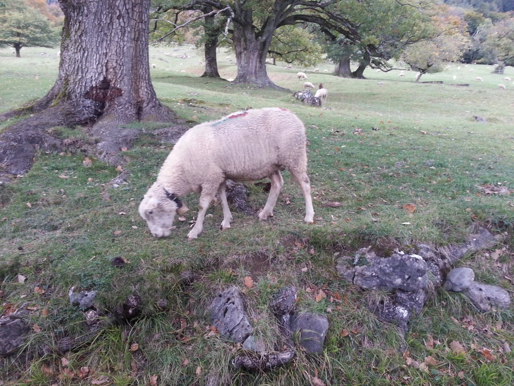 20121016_171144.jpg