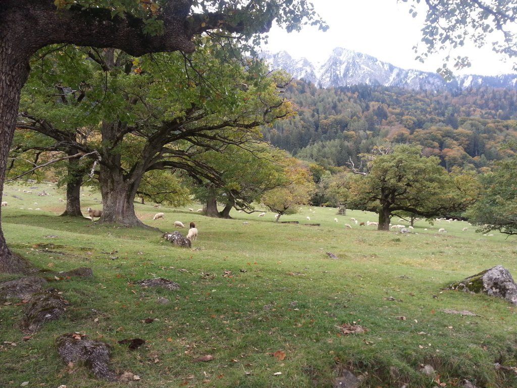 20121016_171158.jpg