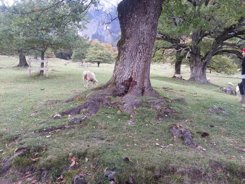 20121016_171210.jpg