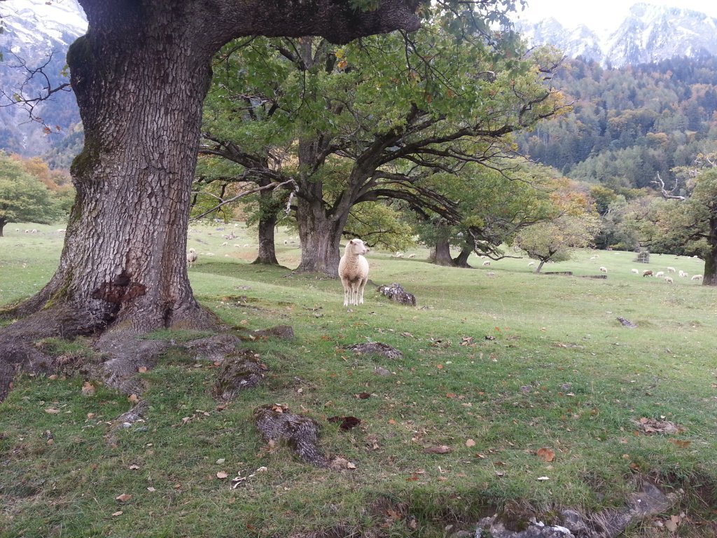 20121016_171301.jpg
