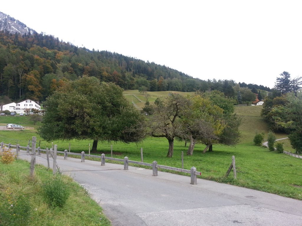 20121016_173820.jpg