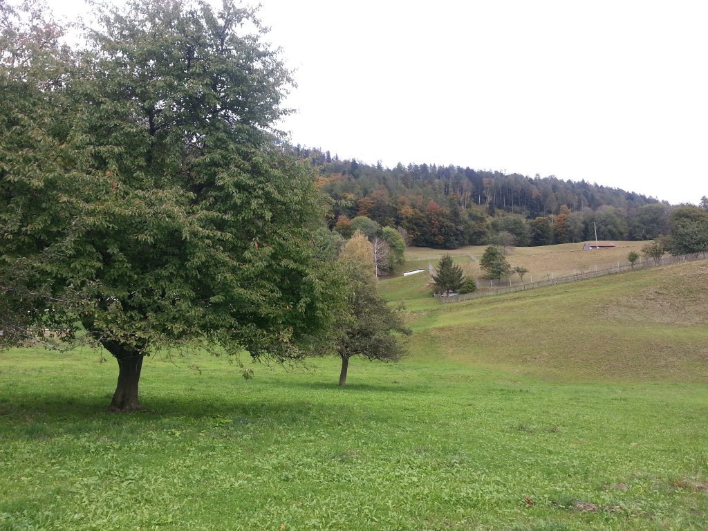 20121016_173909.jpg